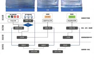 格拉维纳：有必要改革意甲体制&不只基于球队数目 足球需自我监管